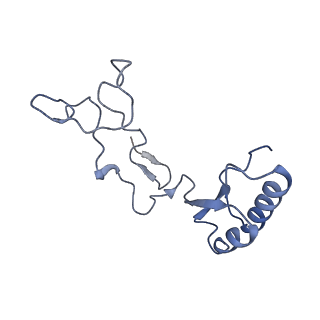 8576_5umd_8_v1-4
Structure of the Plasmodium falciparum 80S ribosome bound to the antimalarial drug mefloquine