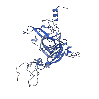 8576_5umd_E_v1-4
Structure of the Plasmodium falciparum 80S ribosome bound to the antimalarial drug mefloquine