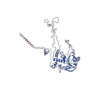 8576_5umd_F_v1-4
Structure of the Plasmodium falciparum 80S ribosome bound to the antimalarial drug mefloquine