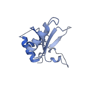 8576_5umd_G_v1-4
Structure of the Plasmodium falciparum 80S ribosome bound to the antimalarial drug mefloquine