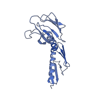 8576_5umd_H_v1-4
Structure of the Plasmodium falciparum 80S ribosome bound to the antimalarial drug mefloquine
