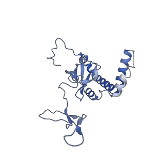 8576_5umd_I_v1-4
Structure of the Plasmodium falciparum 80S ribosome bound to the antimalarial drug mefloquine