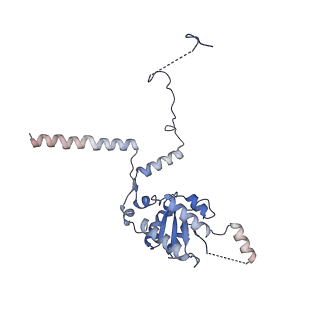 8576_5umd_J_v1-4
Structure of the Plasmodium falciparum 80S ribosome bound to the antimalarial drug mefloquine