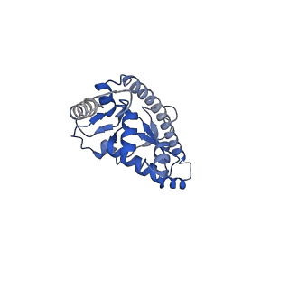 8576_5umd_K_v1-4
Structure of the Plasmodium falciparum 80S ribosome bound to the antimalarial drug mefloquine