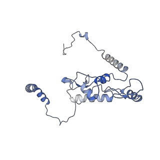 8576_5umd_L_v1-4
Structure of the Plasmodium falciparum 80S ribosome bound to the antimalarial drug mefloquine