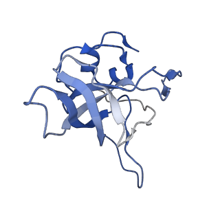 8576_5umd_M_v1-4
Structure of the Plasmodium falciparum 80S ribosome bound to the antimalarial drug mefloquine