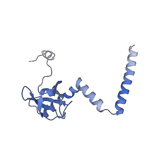 8576_5umd_N_v1-4
Structure of the Plasmodium falciparum 80S ribosome bound to the antimalarial drug mefloquine