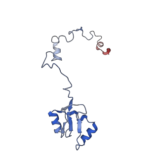 8576_5umd_O_v1-4
Structure of the Plasmodium falciparum 80S ribosome bound to the antimalarial drug mefloquine