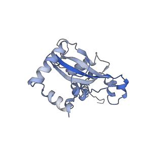 8576_5umd_P_v1-4
Structure of the Plasmodium falciparum 80S ribosome bound to the antimalarial drug mefloquine