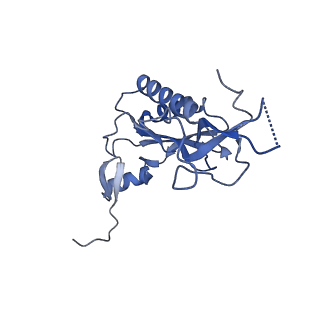 8576_5umd_Q_v1-4
Structure of the Plasmodium falciparum 80S ribosome bound to the antimalarial drug mefloquine