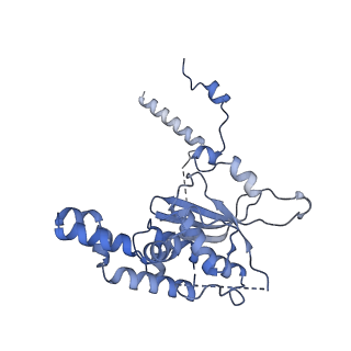 8576_5umd_R_v1-4
Structure of the Plasmodium falciparum 80S ribosome bound to the antimalarial drug mefloquine