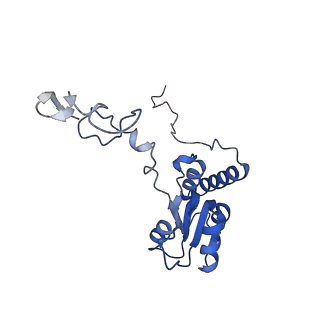 8576_5umd_S_v1-4
Structure of the Plasmodium falciparum 80S ribosome bound to the antimalarial drug mefloquine