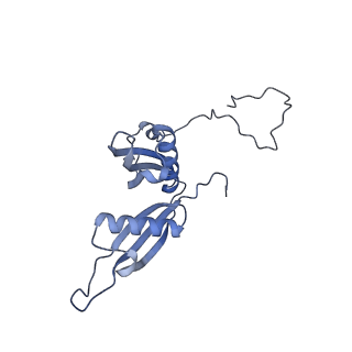 8576_5umd_U_v1-4
Structure of the Plasmodium falciparum 80S ribosome bound to the antimalarial drug mefloquine