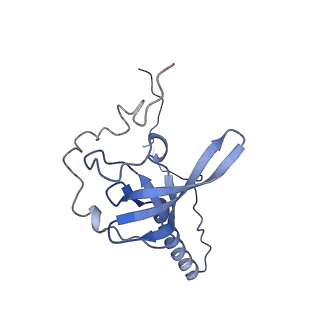 8576_5umd_V_v1-4
Structure of the Plasmodium falciparum 80S ribosome bound to the antimalarial drug mefloquine