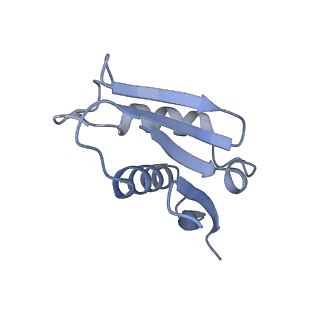 8576_5umd_X_v1-4
Structure of the Plasmodium falciparum 80S ribosome bound to the antimalarial drug mefloquine