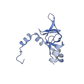 8576_5umd_Z_v1-4
Structure of the Plasmodium falciparum 80S ribosome bound to the antimalarial drug mefloquine