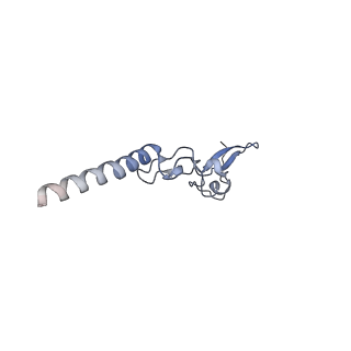 8576_5umd_a_v1-4
Structure of the Plasmodium falciparum 80S ribosome bound to the antimalarial drug mefloquine