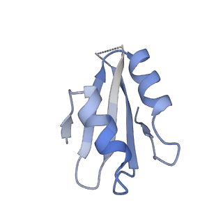 8576_5umd_d_v1-4
Structure of the Plasmodium falciparum 80S ribosome bound to the antimalarial drug mefloquine