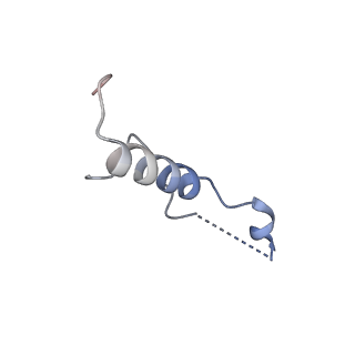 8576_5umd_e_v1-4
Structure of the Plasmodium falciparum 80S ribosome bound to the antimalarial drug mefloquine