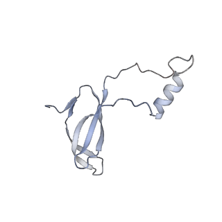 8576_5umd_i_v1-4
Structure of the Plasmodium falciparum 80S ribosome bound to the antimalarial drug mefloquine