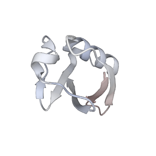 26612_7un3_D_v1-4
Complex of UBE2O with NAP1L1 and ubiquitylated uL2