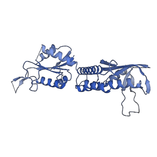 26616_7un8_F_v1-3
SfSTING with c-di-GMP single fiber