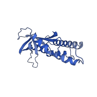 26617_7un9_F_v1-3
SfSTING with c-di-GMP double fiber