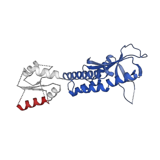 26617_7un9_G_v1-3
SfSTING with c-di-GMP double fiber