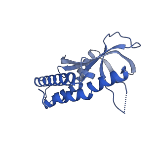 26617_7un9_I_v1-3
SfSTING with c-di-GMP double fiber