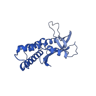 26617_7un9_J_v1-3
SfSTING with c-di-GMP double fiber