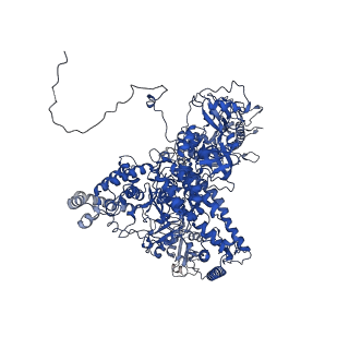 26620_7unc_A_v1-0
Pol II-DSIF-SPT6-PAF1c-TFIIS complex with rewrapped nucleosome
