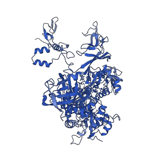 26620_7unc_B_v1-0
Pol II-DSIF-SPT6-PAF1c-TFIIS complex with rewrapped nucleosome
