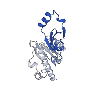 26620_7unc_E_v1-0
Pol II-DSIF-SPT6-PAF1c-TFIIS complex with rewrapped nucleosome