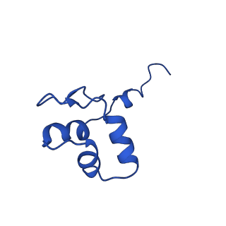 26620_7unc_J_v1-0
Pol II-DSIF-SPT6-PAF1c-TFIIS complex with rewrapped nucleosome