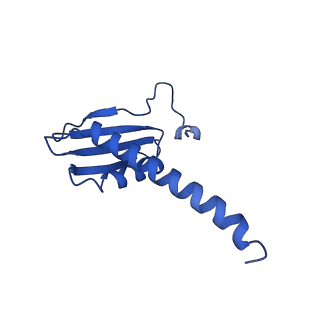 26620_7unc_K_v1-0
Pol II-DSIF-SPT6-PAF1c-TFIIS complex with rewrapped nucleosome