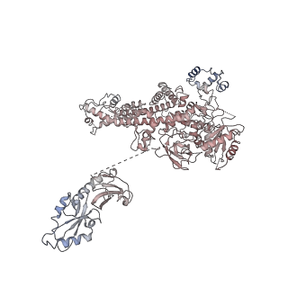 26620_7unc_M_v1-0
Pol II-DSIF-SPT6-PAF1c-TFIIS complex with rewrapped nucleosome