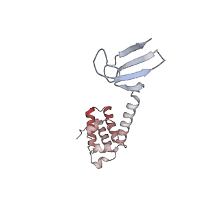 26620_7unc_O_v1-0
Pol II-DSIF-SPT6-PAF1c-TFIIS complex with rewrapped nucleosome