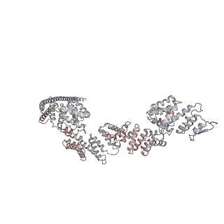 26620_7unc_Q_v1-0
Pol II-DSIF-SPT6-PAF1c-TFIIS complex with rewrapped nucleosome