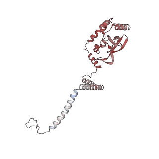 26620_7unc_R_v1-0
Pol II-DSIF-SPT6-PAF1c-TFIIS complex with rewrapped nucleosome