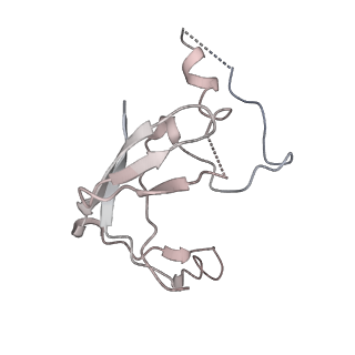 26620_7unc_U_v1-0
Pol II-DSIF-SPT6-PAF1c-TFIIS complex with rewrapped nucleosome
