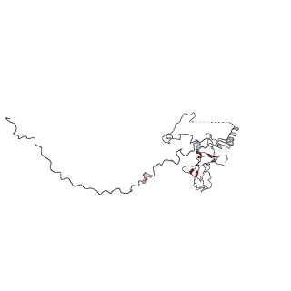 26620_7unc_V_v1-0
Pol II-DSIF-SPT6-PAF1c-TFIIS complex with rewrapped nucleosome