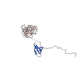 26620_7unc_Z_v1-0
Pol II-DSIF-SPT6-PAF1c-TFIIS complex with rewrapped nucleosome