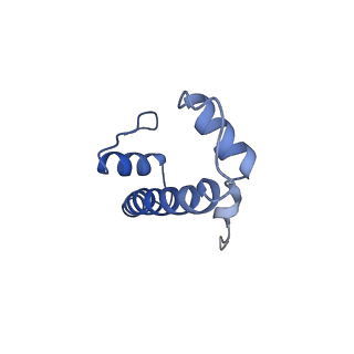 26620_7unc_b_v1-0
Pol II-DSIF-SPT6-PAF1c-TFIIS complex with rewrapped nucleosome
