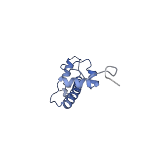 26620_7unc_c_v1-0
Pol II-DSIF-SPT6-PAF1c-TFIIS complex with rewrapped nucleosome