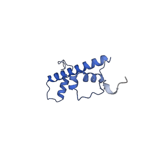 26620_7unc_g_v1-0
Pol II-DSIF-SPT6-PAF1c-TFIIS complex with rewrapped nucleosome