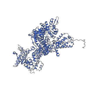 26621_7und_A_v1-0
Pol II-DSIF-SPT6-PAF1c-TFIIS-nucleosome complex (stalled at +38)