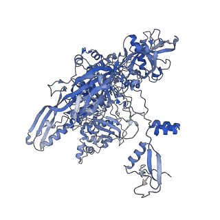26621_7und_B_v1-0
Pol II-DSIF-SPT6-PAF1c-TFIIS-nucleosome complex (stalled at +38)