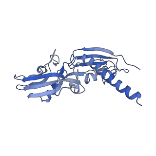 26621_7und_C_v1-0
Pol II-DSIF-SPT6-PAF1c-TFIIS-nucleosome complex (stalled at +38)