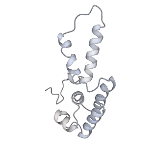 26621_7und_D_v1-0
Pol II-DSIF-SPT6-PAF1c-TFIIS-nucleosome complex (stalled at +38)