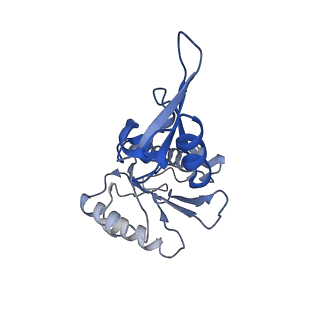 26621_7und_E_v1-0
Pol II-DSIF-SPT6-PAF1c-TFIIS-nucleosome complex (stalled at +38)